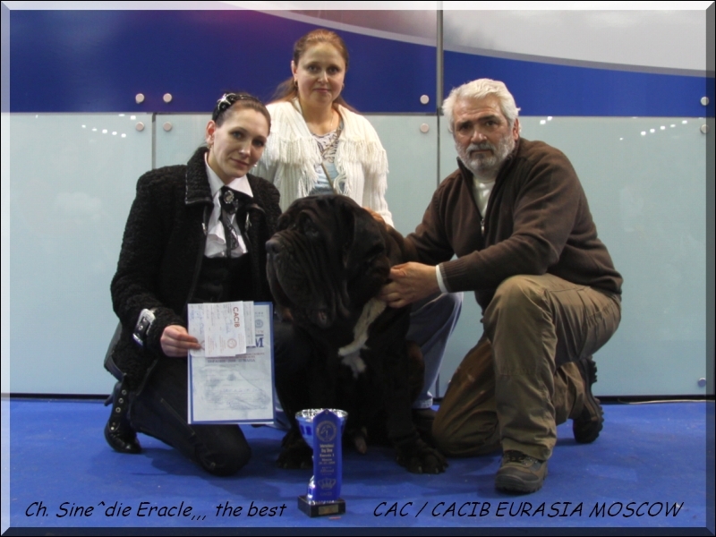 Mosca CAC,,, CACIB,
