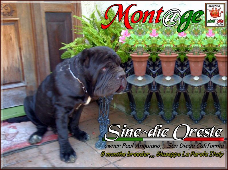 Sine^die Oreste 30 March 2010