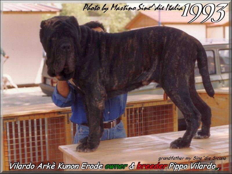 1993 Erode Vilardo Arke Kunon,