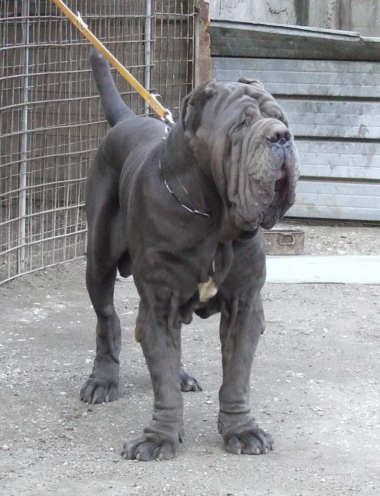 2006_1031Abi10350001