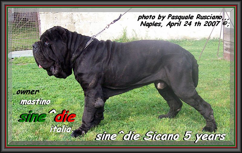 Sicano sine^die a Napoli,, il 24 Aprile 2007,,,