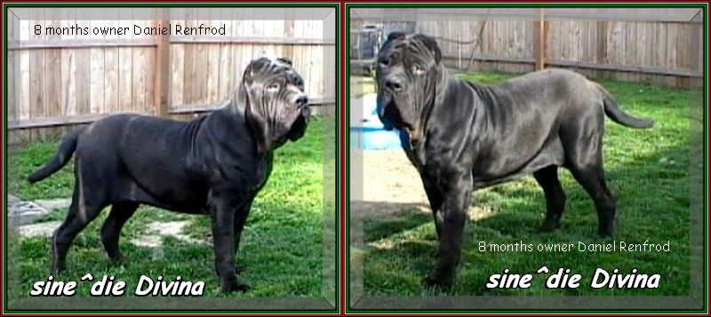 sine^die Divina 8 months,,,