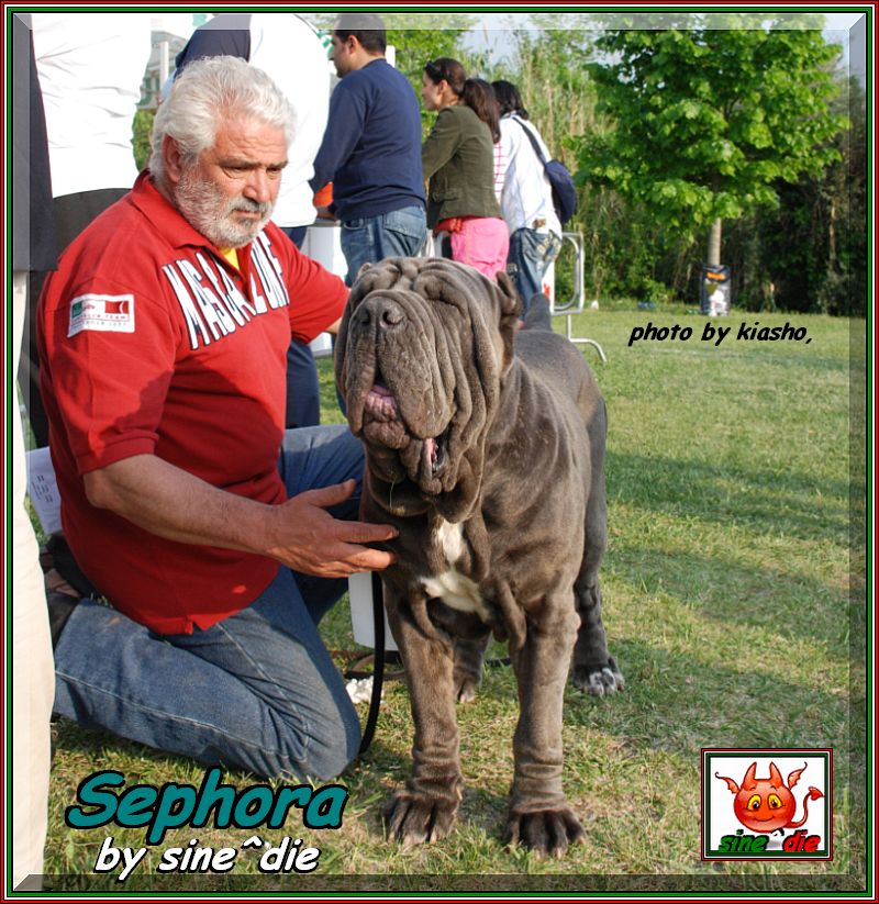 mastino sine^die italia,,, 59 Expo Internazionale Ercolano  29 Aprile 2007,,, CLXI