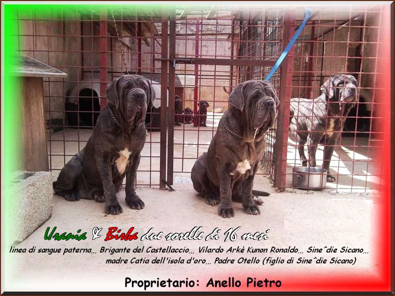 Urania e Birba 16 mesi