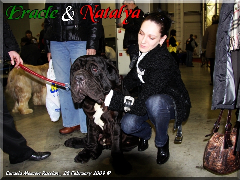 Mosca Ch. Sine^die Eracle & Natalya. CAC CACIB