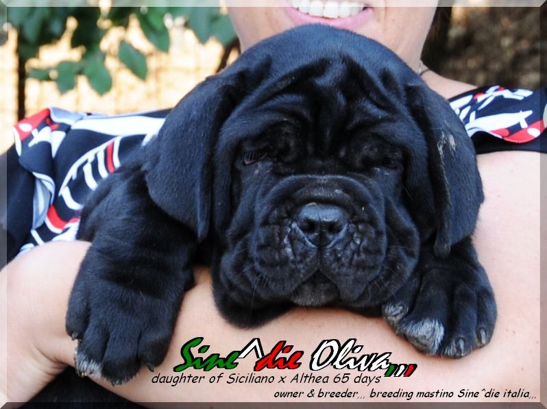 Laura con cucciola figlia di Siciliano x Althea,,,,