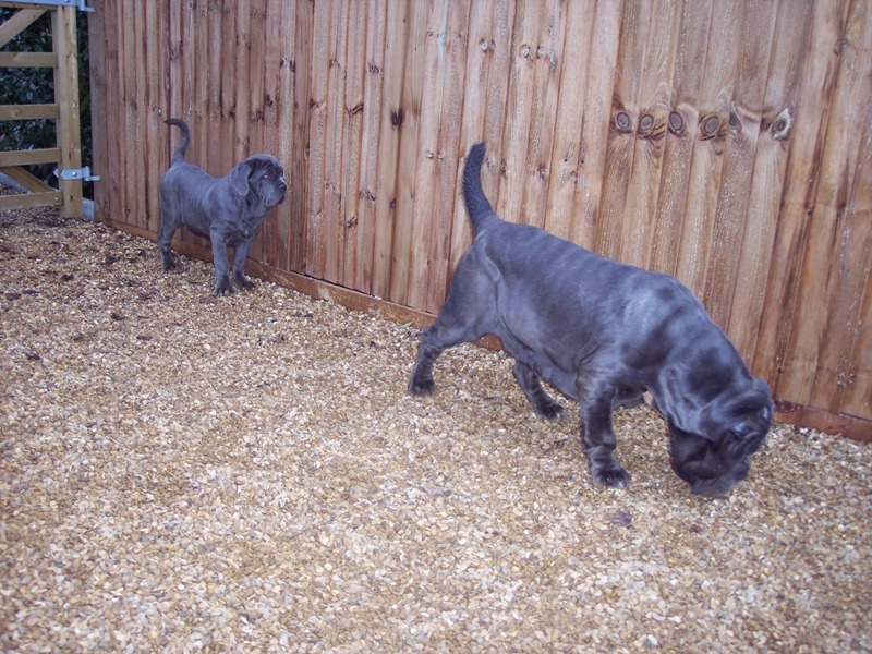 Copy of 27 12 2007 106