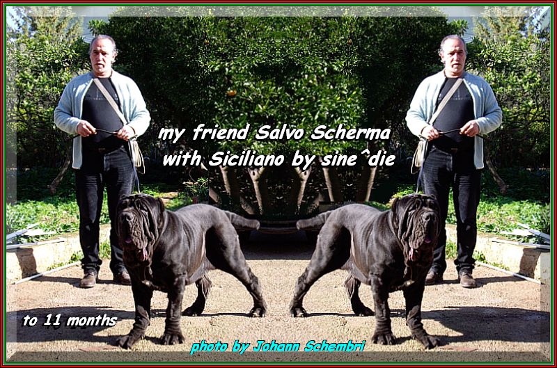 Siciliano by sine^die & Salvo Scherma,,,