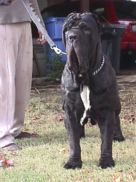 caos_15months_frontshot_2