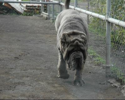 0d2530db76efde057537b10958ccc99c