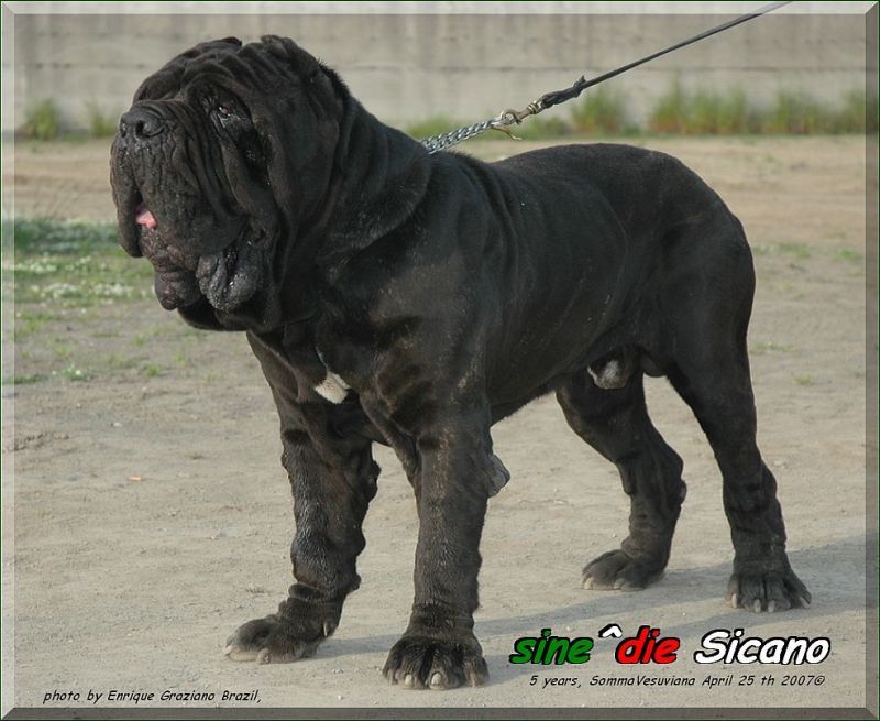 Sicano photo by Enrique,,,