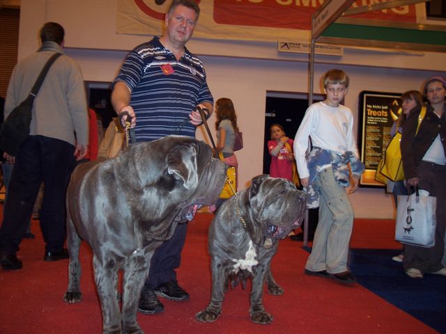 Leo & Nina .a.Discover dogs 11 11 2006 032