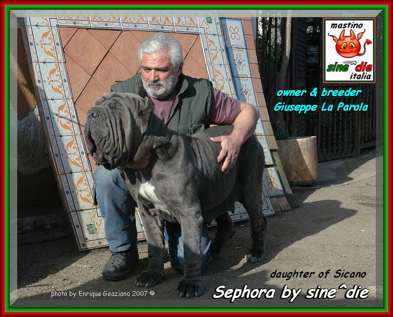 2007 sine^die visto da Enrique Graziano nella foto Sephora by sine^die daughter of Sicano