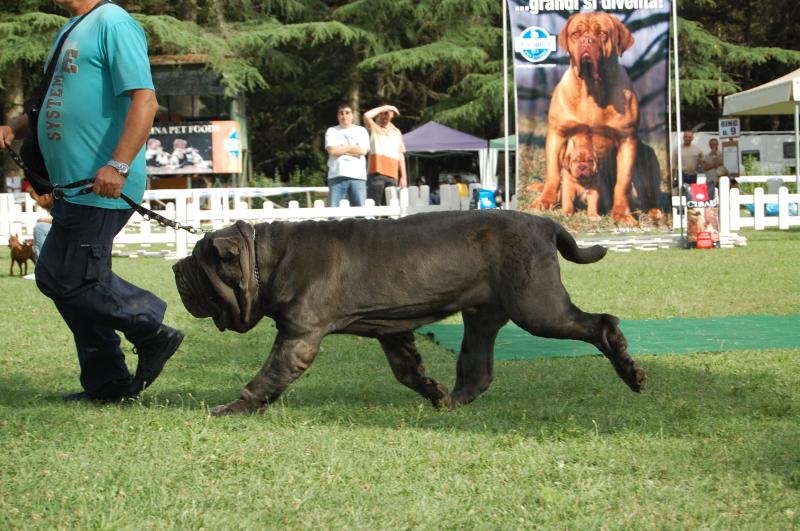 enrico e runo 1