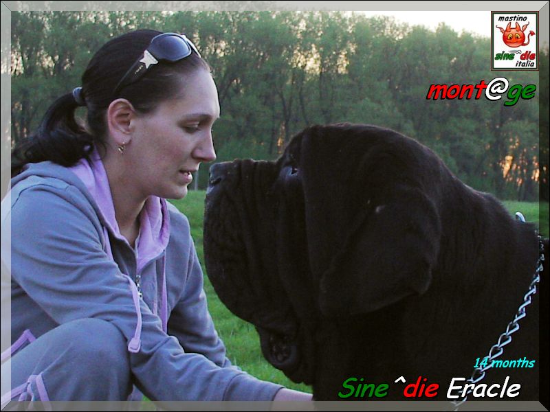 Natalya Rodionova & Sine^die Eracle,,, 14 months,,,