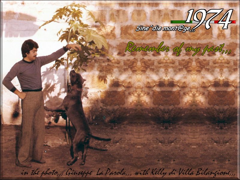 1974 remember of my past