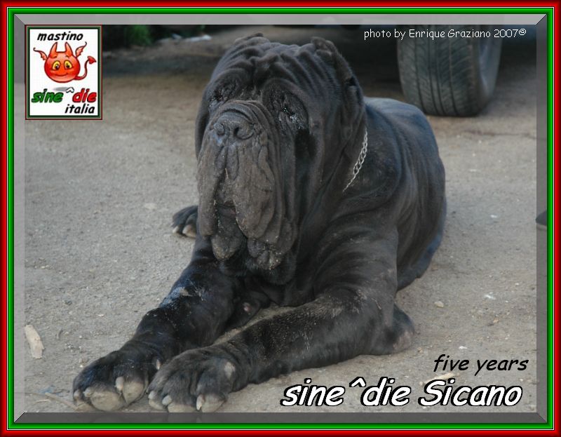 2007 sine^die visto da Enrique Graziano nella foto Sicano 5 anni,,,,