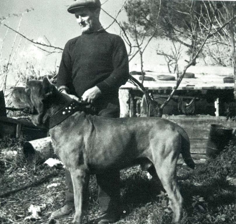 mas0001