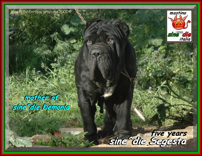 2007 sine^die visto da Enrique Graziano nella foto Segesta mother of sine^die Demonia