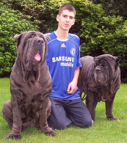 Dogs 28 10 2006 024