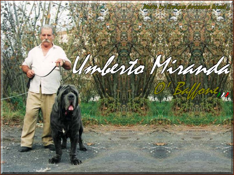 Old Mastinari,,, Umberto Miranda