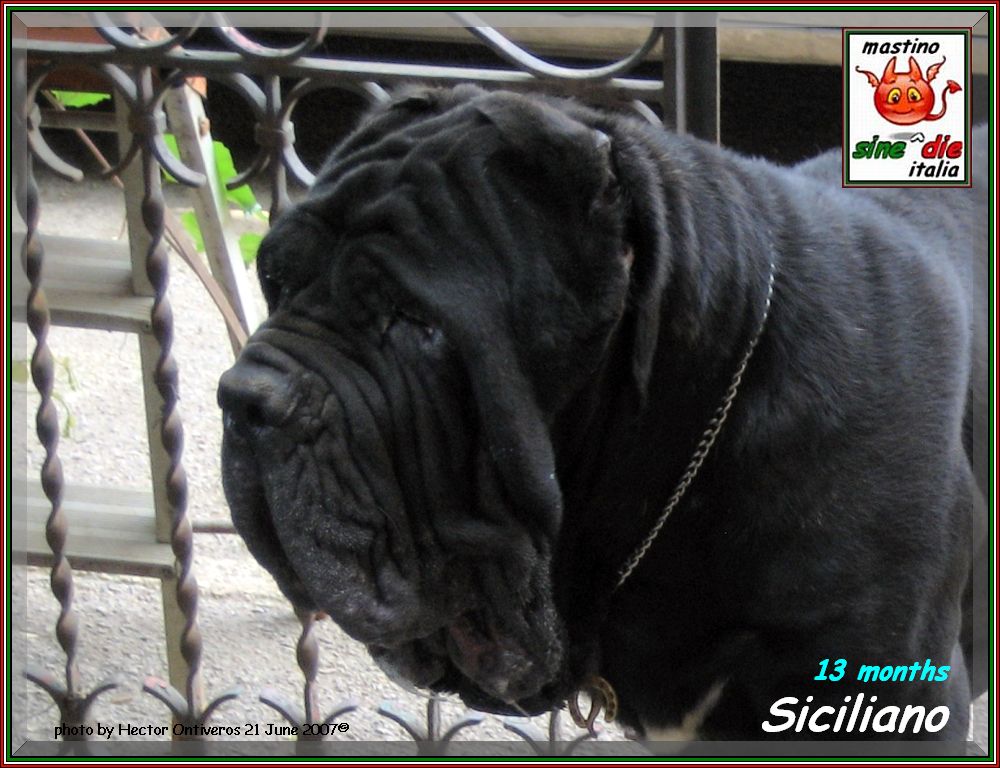 Siciliano,,, photo by Hector Ontiveros 21 June 2007,,,