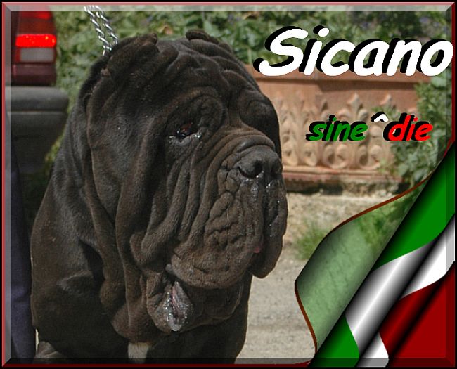 sine^die Sicano 4 years