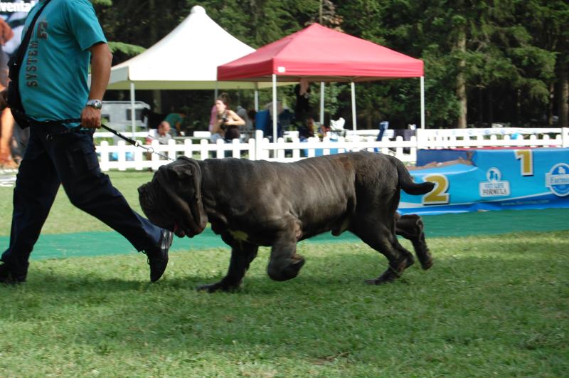 enrico e bruno 2