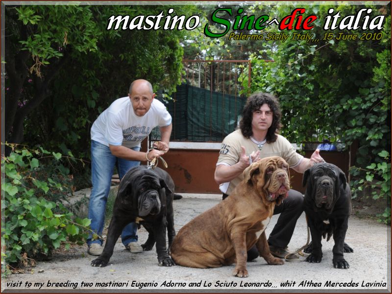gradita visita al mio allevamento 15 Giugno 2010.