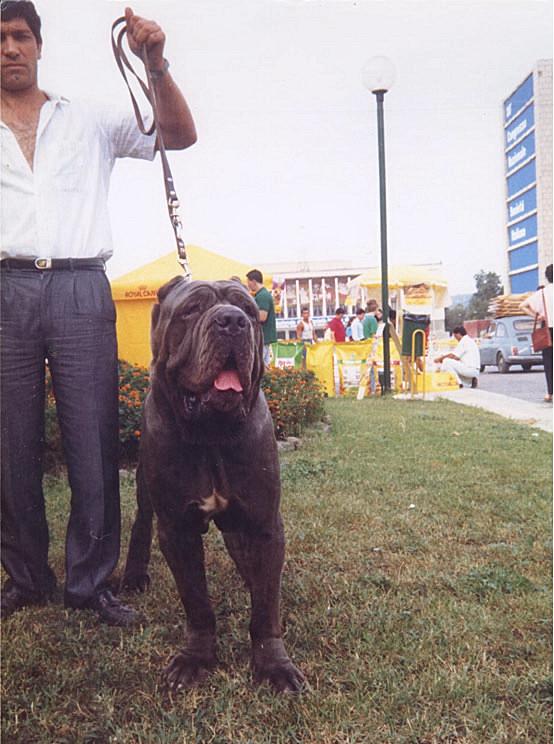 masaniello_di_acerra20001