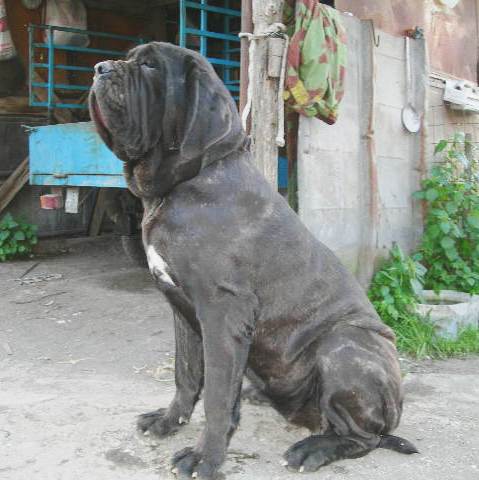 Immagine 014 Ebe 10 mounths