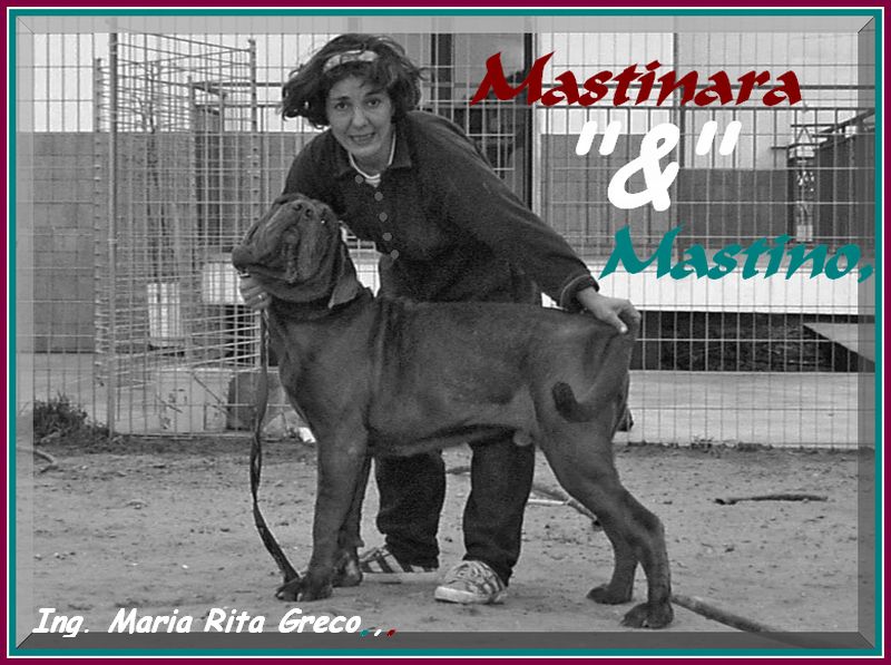 Maria Rita Greco