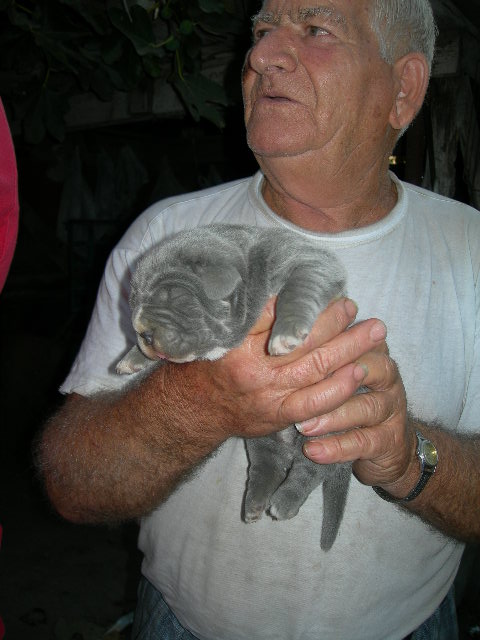 Zi Raffaele with the femal pup