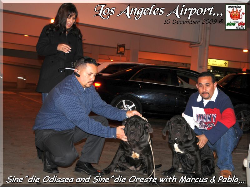 Los Angeles 10 December 2009,,