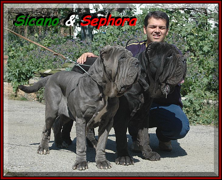 sine^die Sicano & Sephora.... 0228
