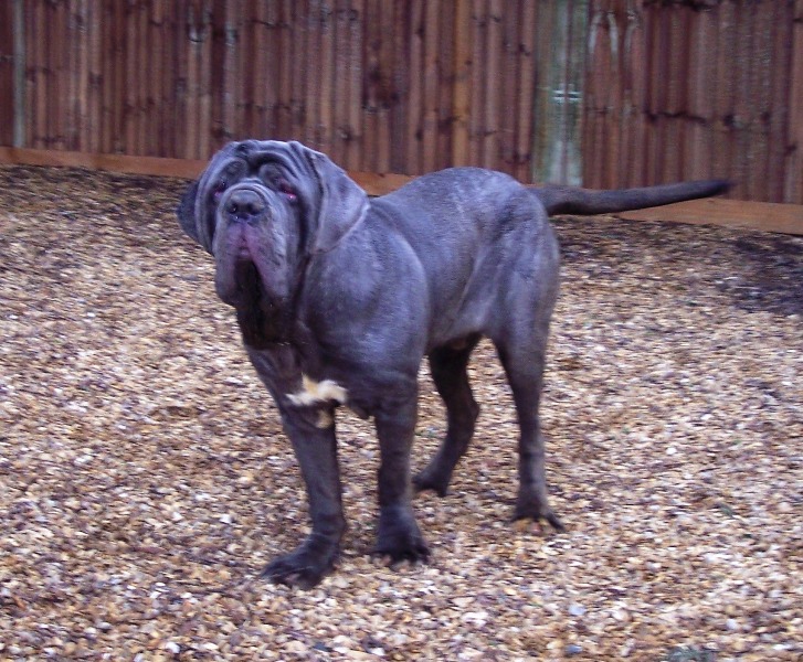 Copy of 27 12 2007 049