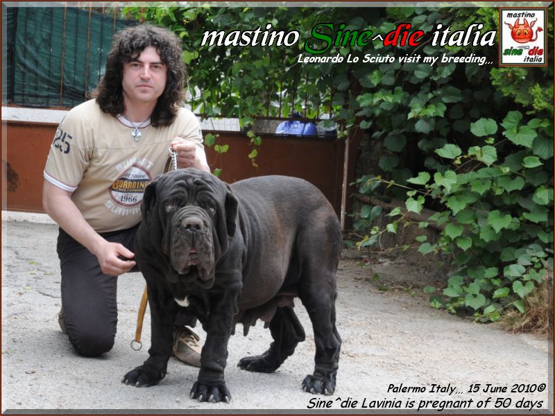 gradita visita al mio allevamento 15 Giugno 2010...