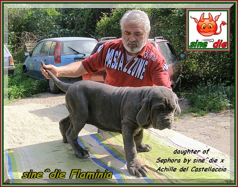 sine^die Flaminia daughter of Sephora x Achille del Castellaccio,,, 037 bis