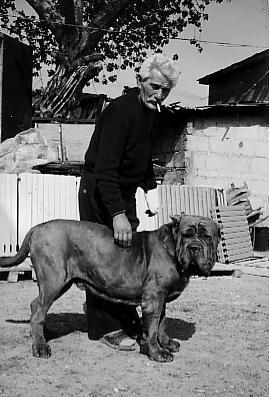 Peppe Biasone
