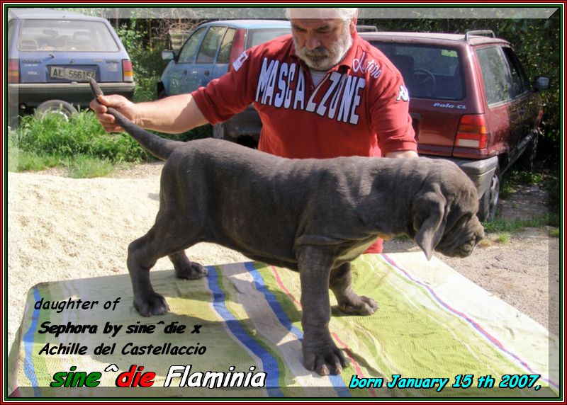 sine^die Flaminia daughter of Sephora x Achille del Castellaccio,,, 033