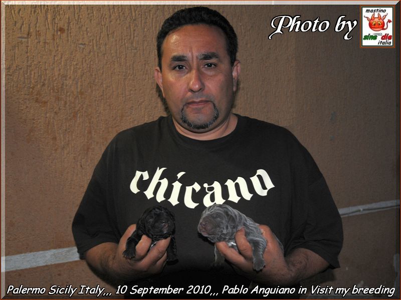 Pablo to Palermo,,,,,,,
