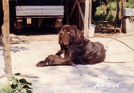 Nerone01