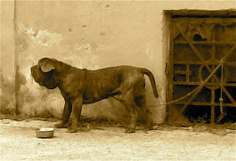 marcantonio2