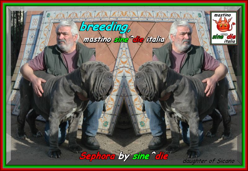 2007 sine^die visto da Enrique Graziano nella foto Sephora by sine^die daughter of Sicano bis,