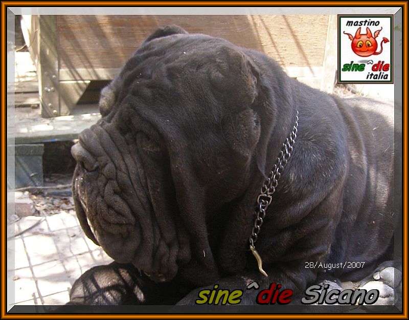 sine^die Sicano 28 Agosto 2007,,,