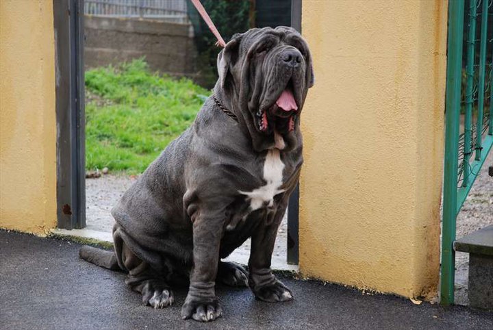 74403_1474854276010_1373281178_31114683_4351227_n