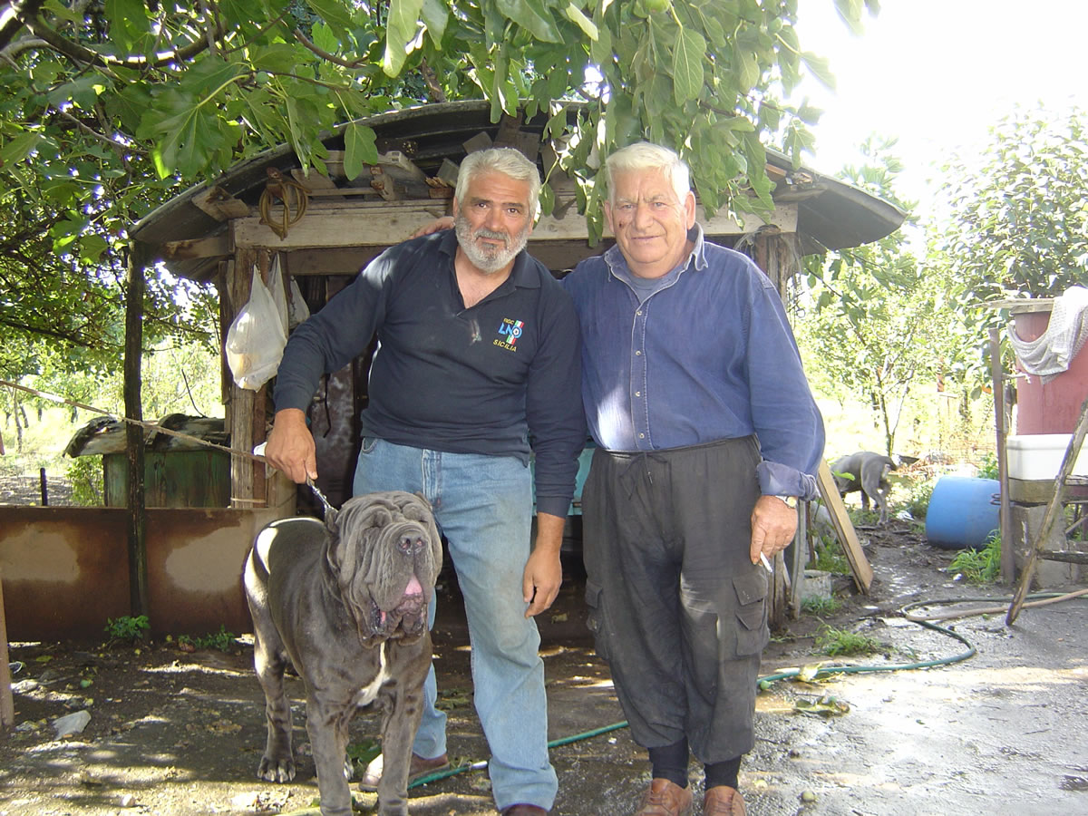 parolaandzio