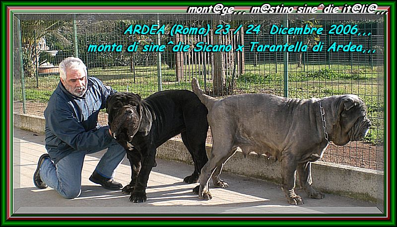 Monta Sicano x Tarantella 23 ,, 24 Dicembre 2006