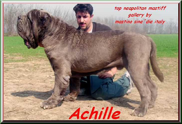 achille16 xxx