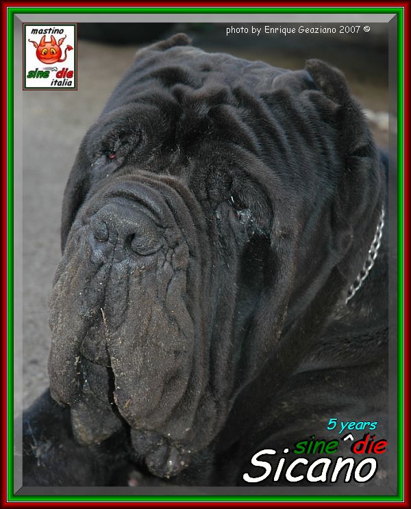 2007 sine^die visto da Enrique Graziano nella foto Sicano 5 anni,,,